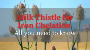 Read more about the article Milk Thistle for Iron Chelation | All you need to know